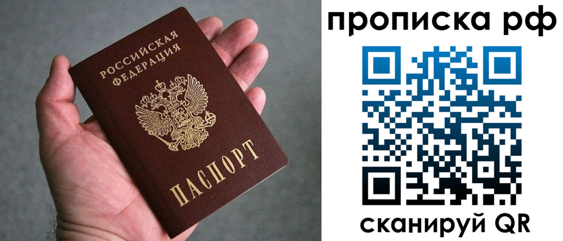 купить прописку в Ивантеевке